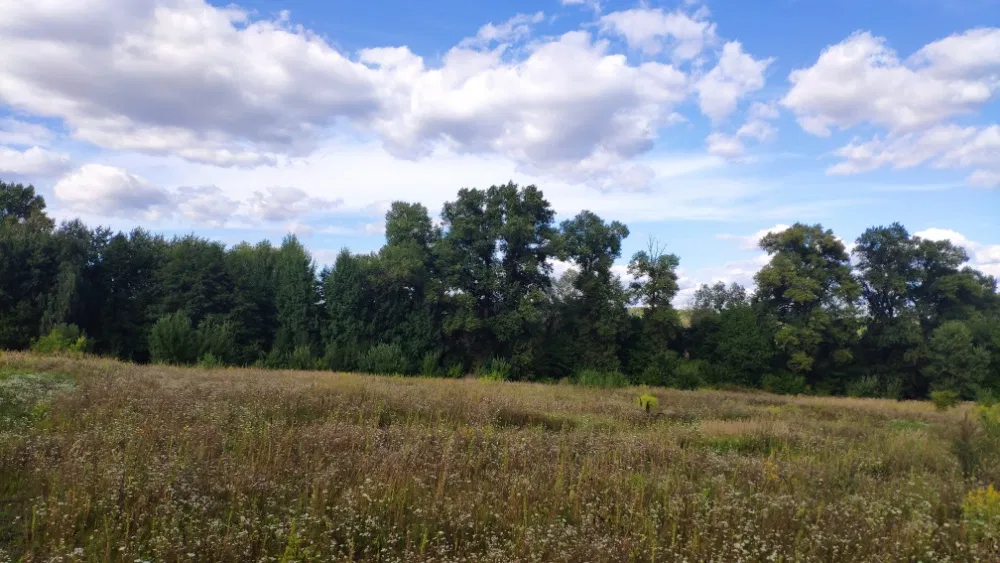 Ділянка 5000 м2 у Пирогово - приватна локація, інвестиційний потенціал