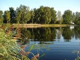 Ділянка 5000 м2 у Пирогово - приватна локація, інвестиційний потенціал - Image 3