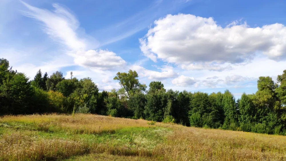 Ділянка 5000 м2 у Пирогово - приватна локація, інвестиційний потенціал - Image 5